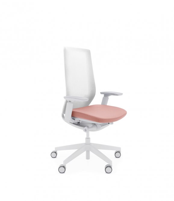 Ergonominė kėdė ACCIS Pro 150SFL