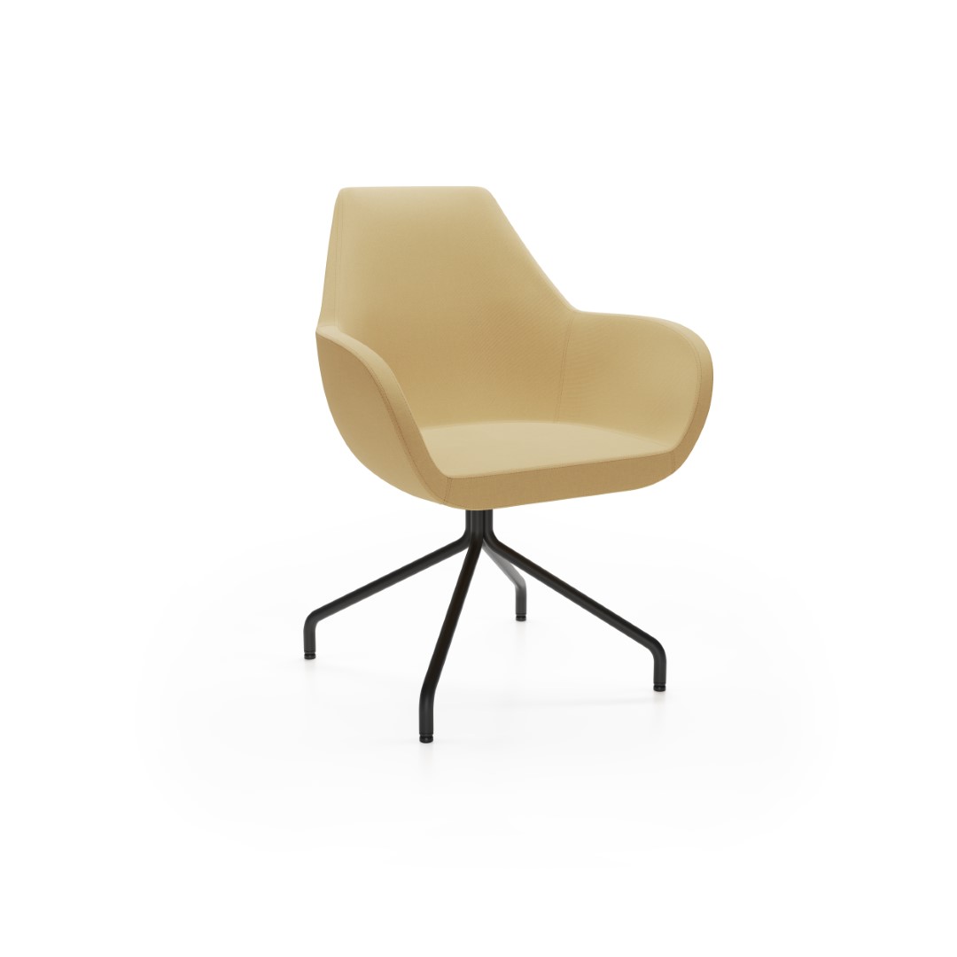 Fan 10HS Svetainės kėdės