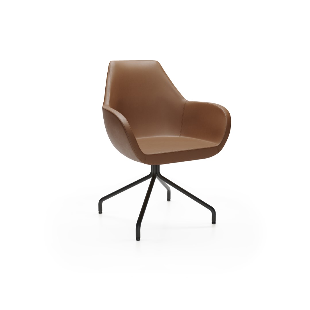 Fan 10HS Svetainės kėdės - Image 3