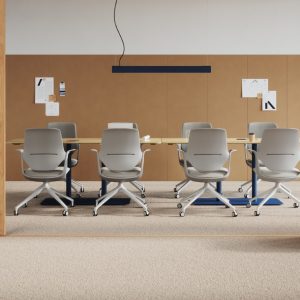 Reguliuojamo auksčio kėdės