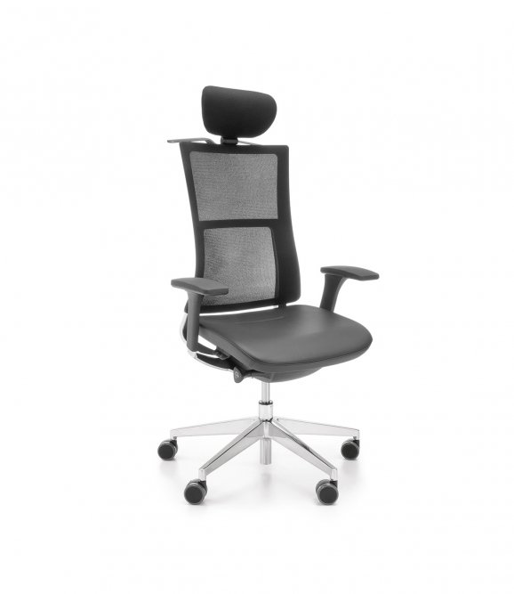 Ergonominė kėdė Violle 151SFL